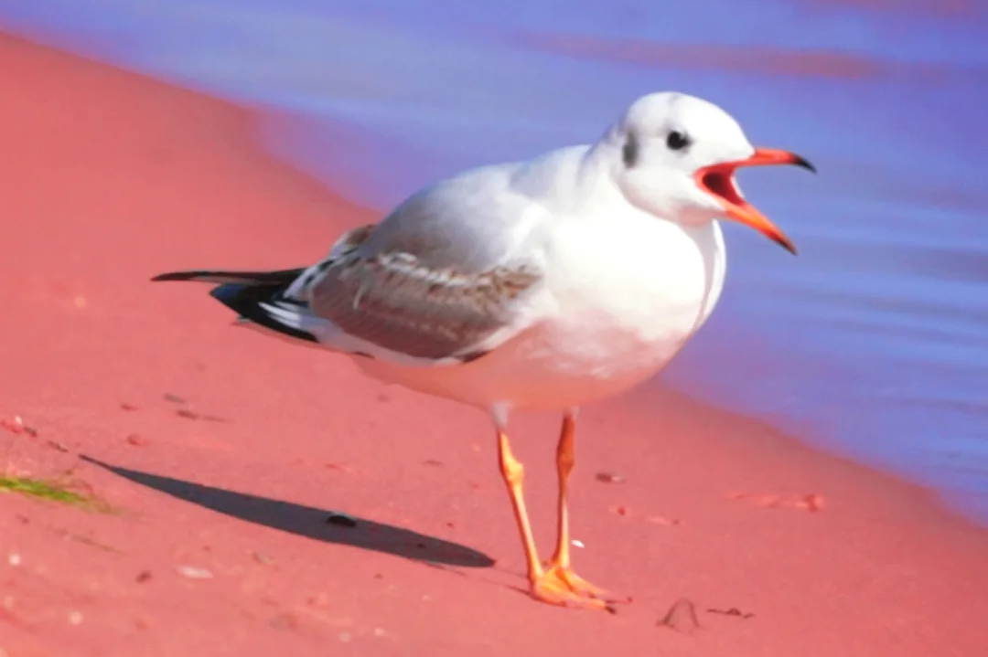 00000000NtiliXWlHsAOpRtn 00000000NtiliXWlHsAOpRtn