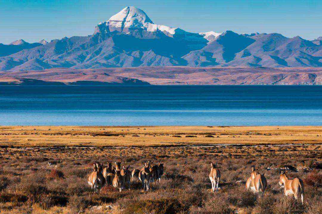 00000000PIkzEqIHnnVluyDY 00000000PIkzEqIHnnVluyDY