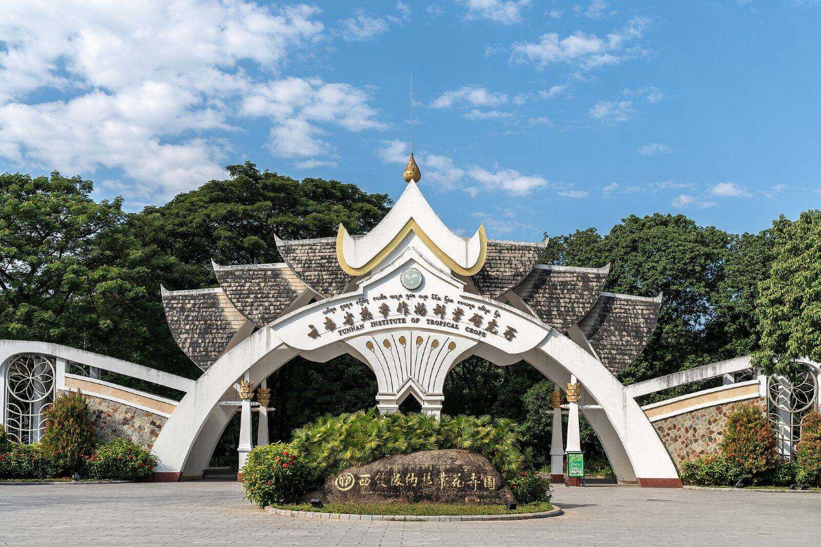 00000000PWCNGMxoFODVcsgo