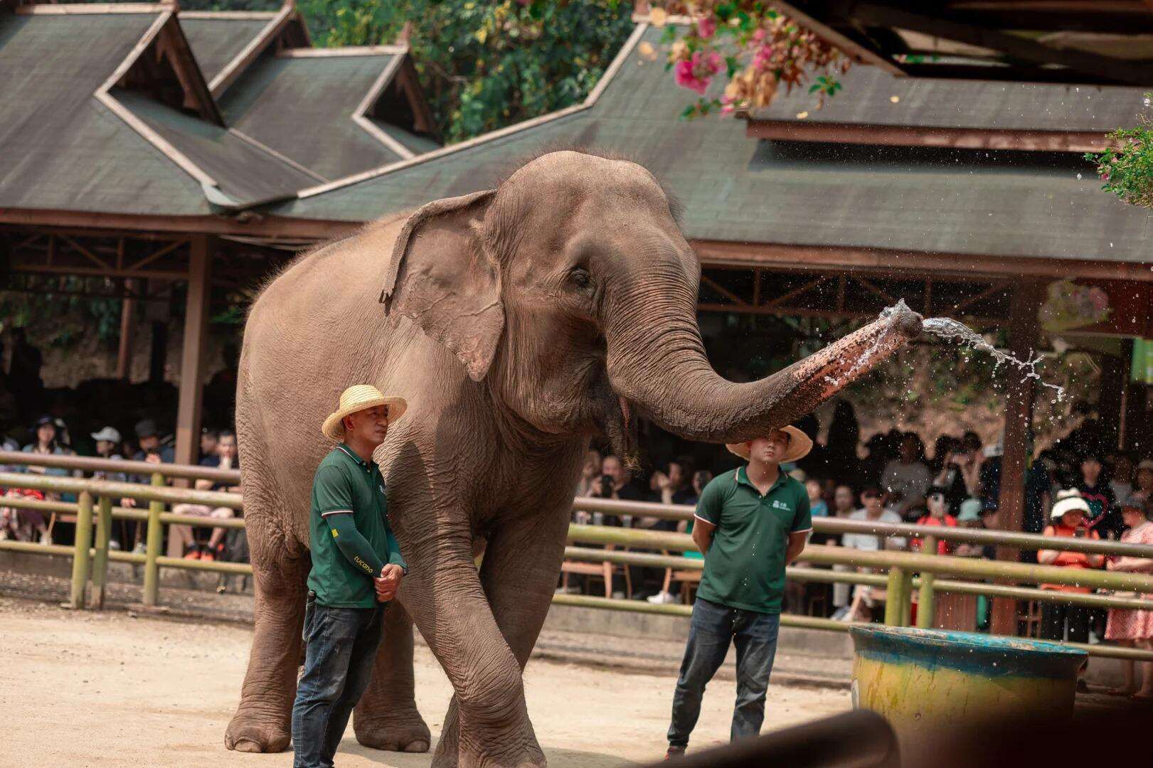 00000000PoTkrpkfOyzqVZsK