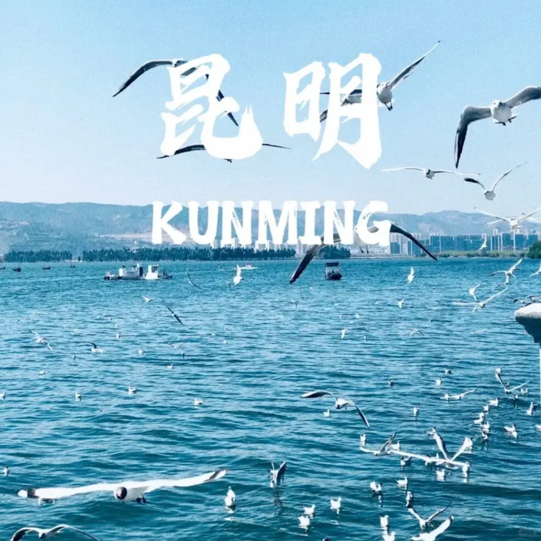 00000000PotzgopacPNIFZDV 00000000PotzgopacPNIFZDV