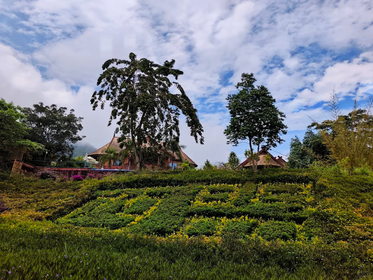 00000000PtxxWwKyMfKprwhj