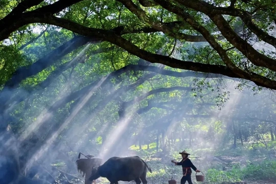 00000000QIMrTMdBbfUrrISR