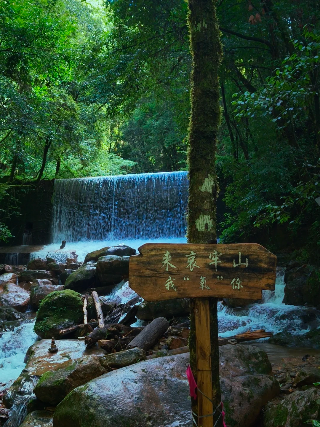 00000000QOajscmdBPEHvqnu 00000000QOajscmdBPEHvqnu