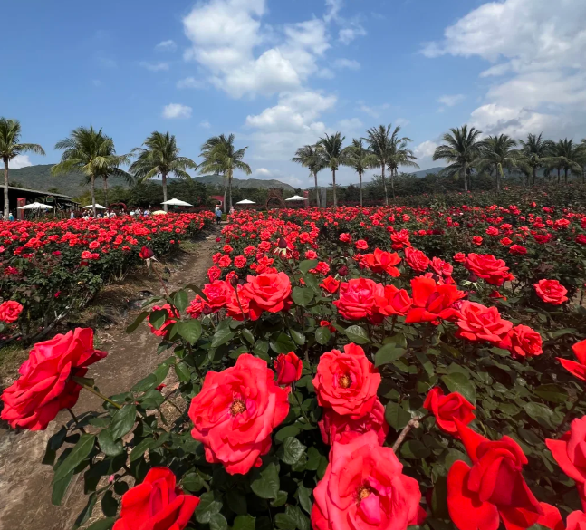 00000000QgYceREWExsoaXtu