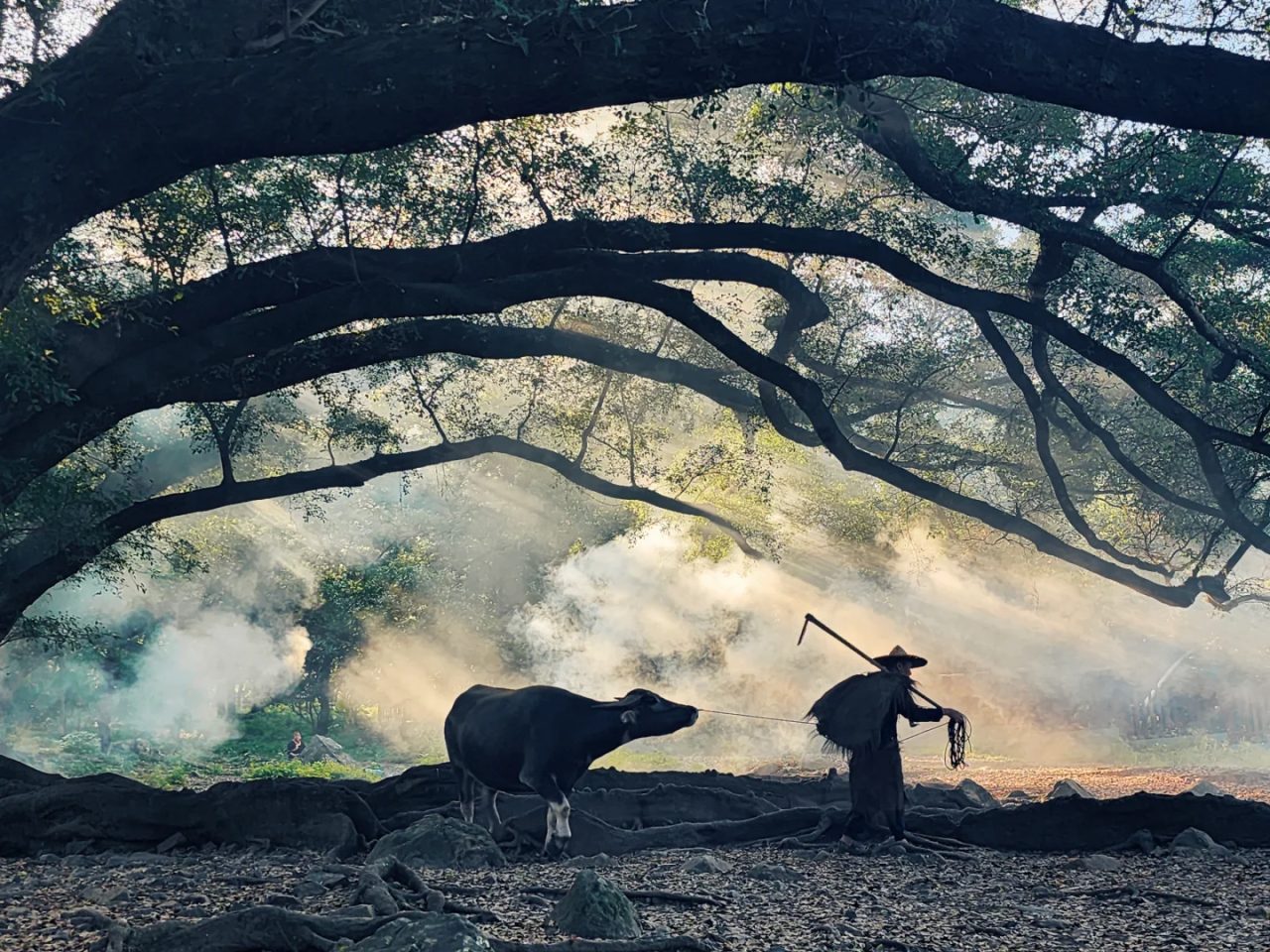 00000000RGhfXKOwWmUCAadh