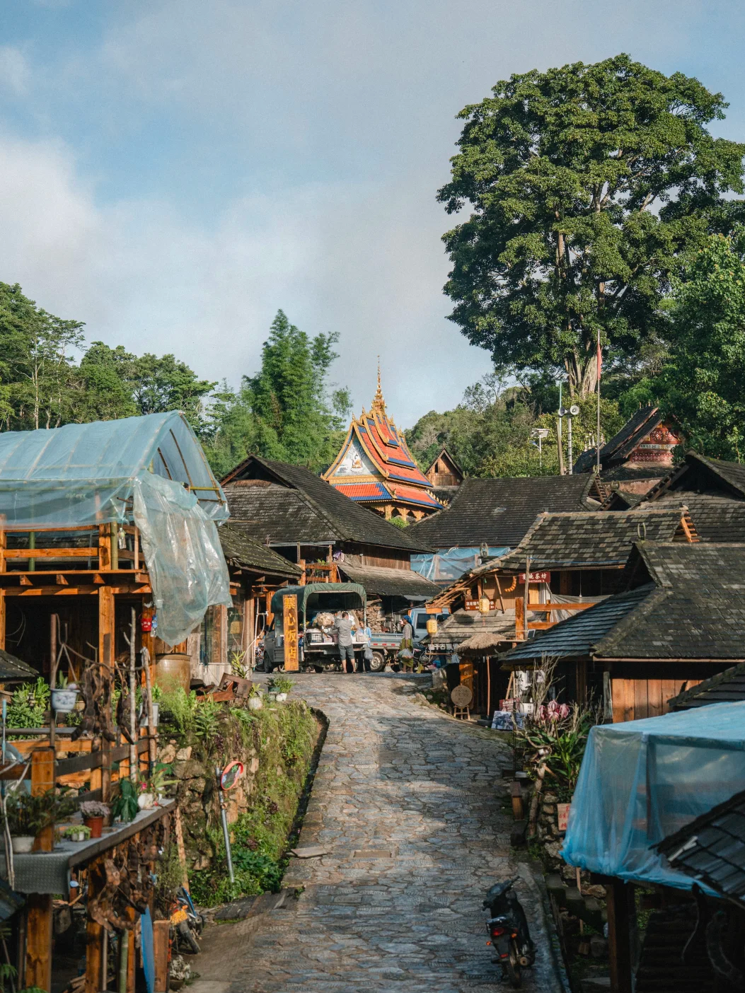 00000000RIPmXXMSVtoZrTeJ