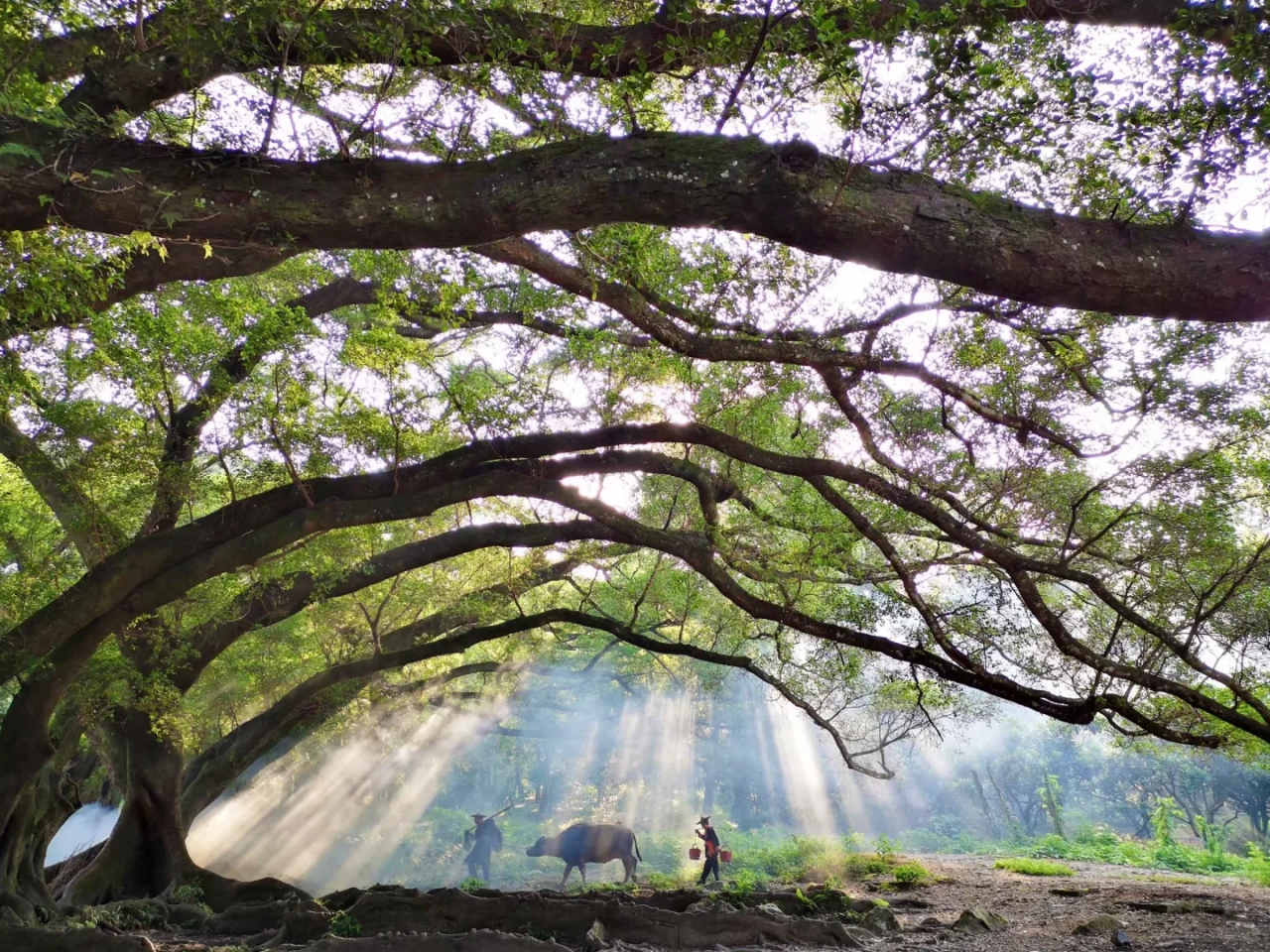 00000000RKTijqEDlDKBjVuu