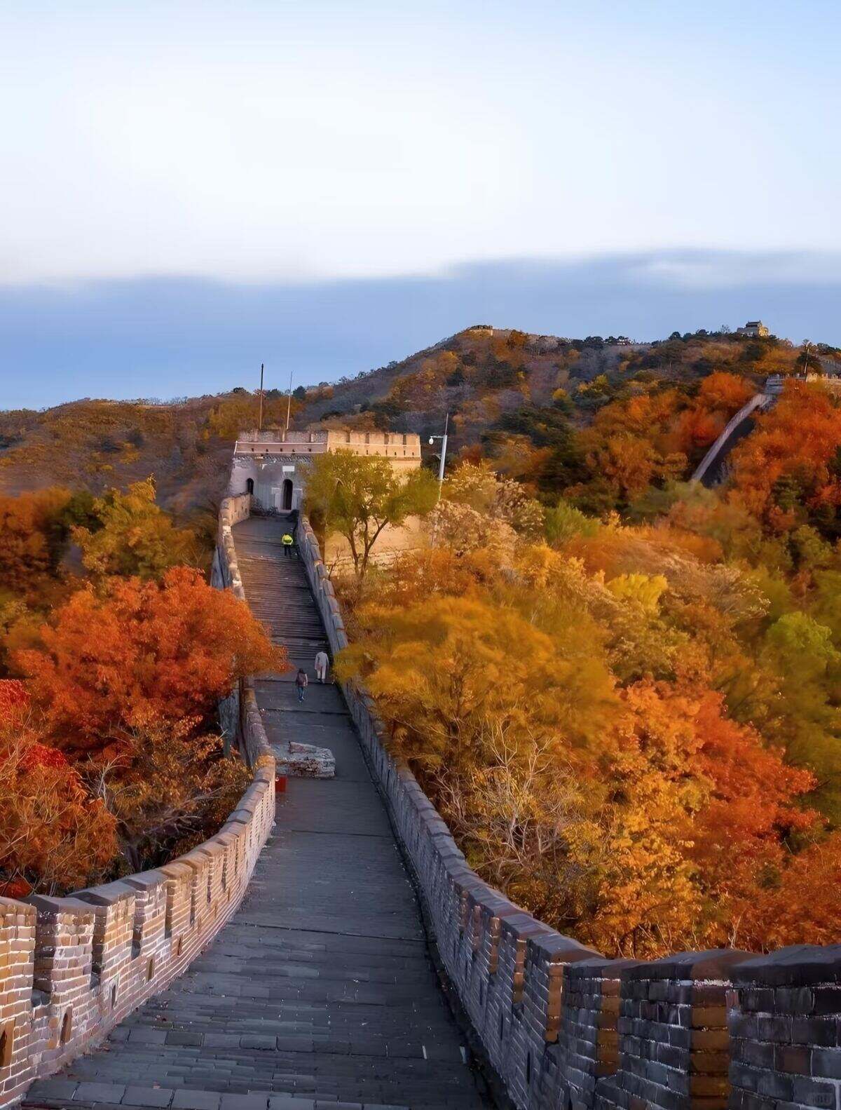 00000000RoFBHVfBXdjTUMFK 00000000RoFBHVfBXdjTUMFK