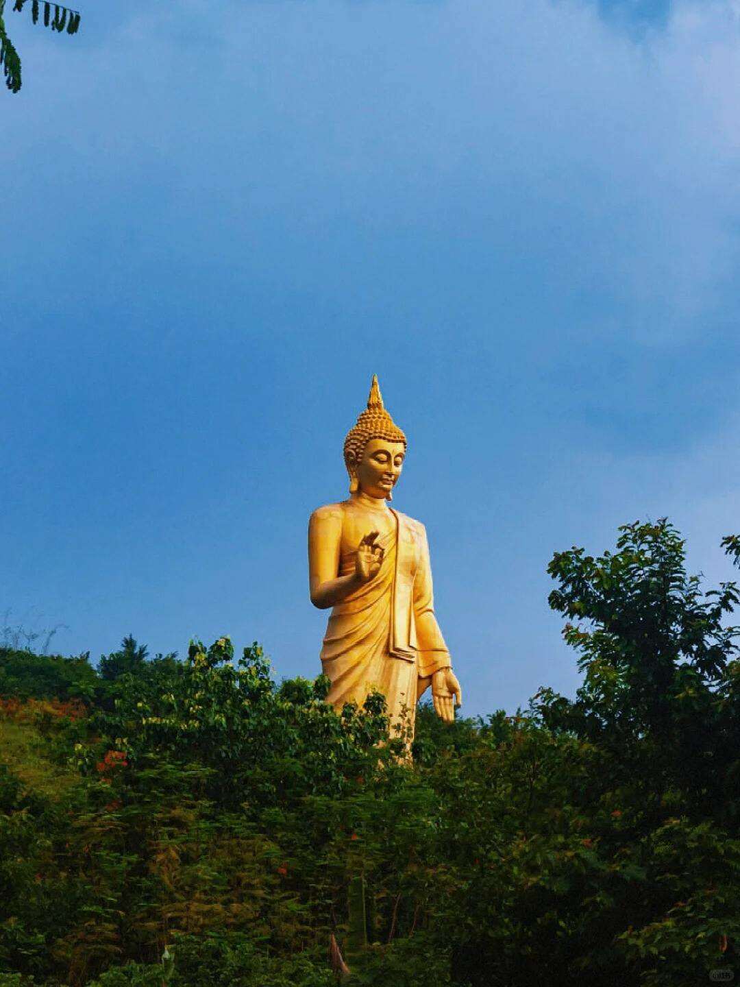 00000000RzfAuoElBtthXqei