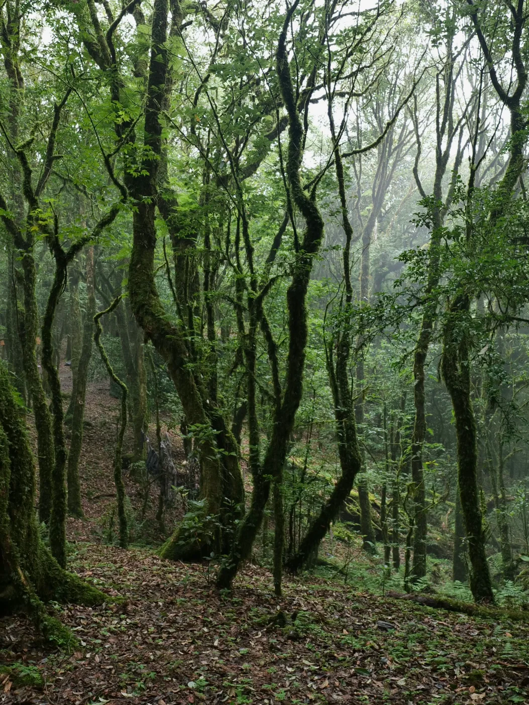 00000000SBASMwfHBJxUOvXB 00000000SBASMwfHBJxUOvXB