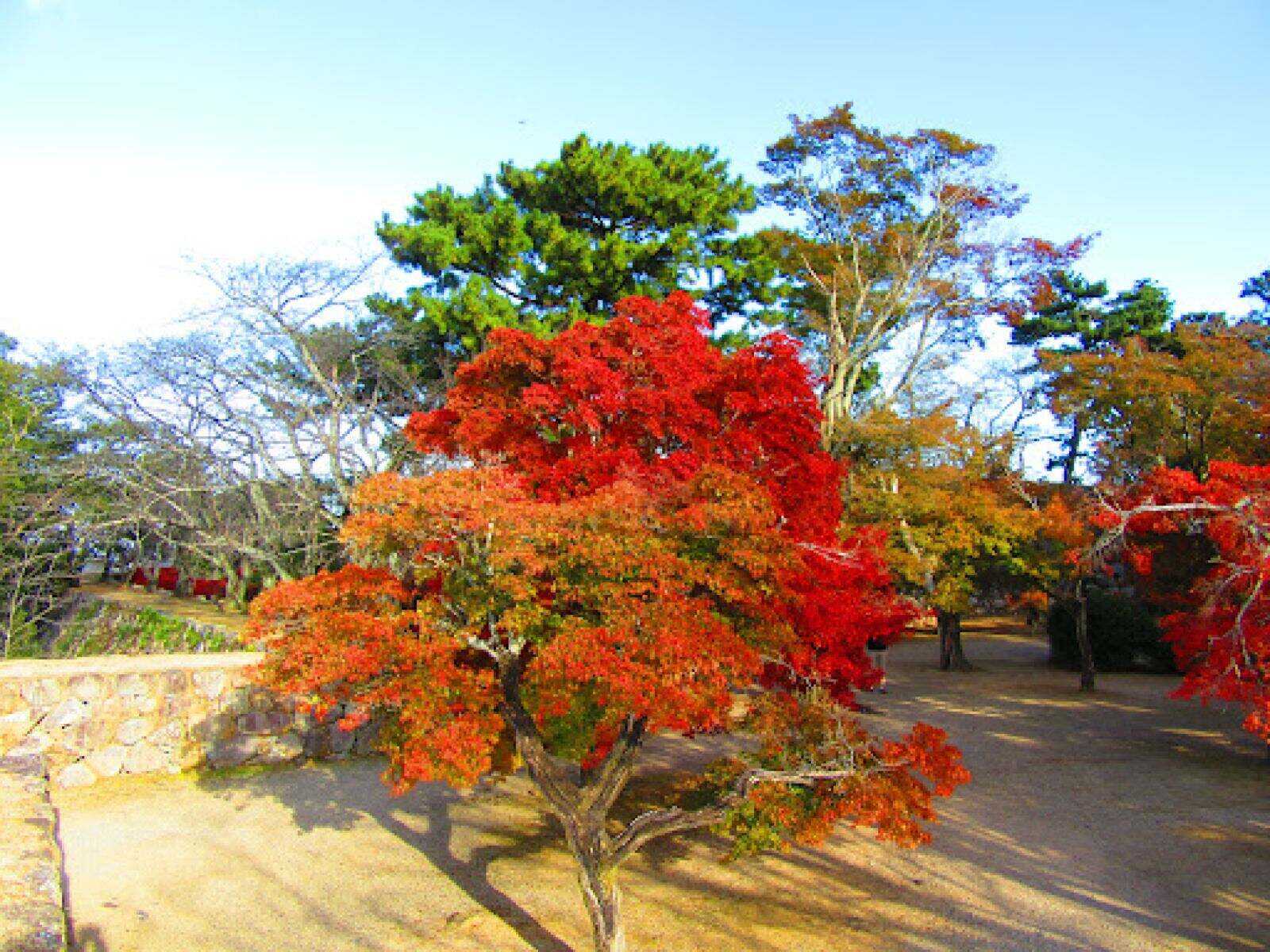 00000000SsZqKFrntihaAFGx