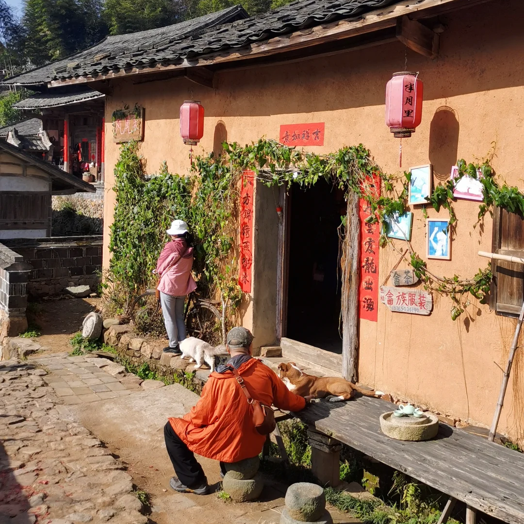 00000000SxQpusFmCoXBeNaG