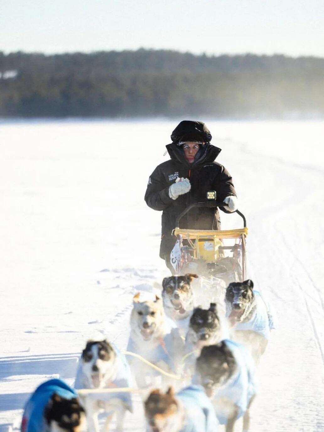 00000000TUqimVmAOLmoRqAk 00000000TUqimVmAOLmoRqAk