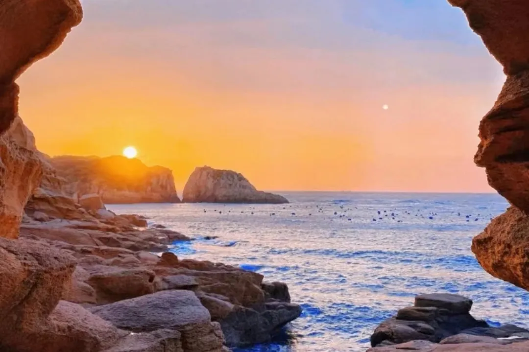 00000000TwbvgbRRoebEwbbS