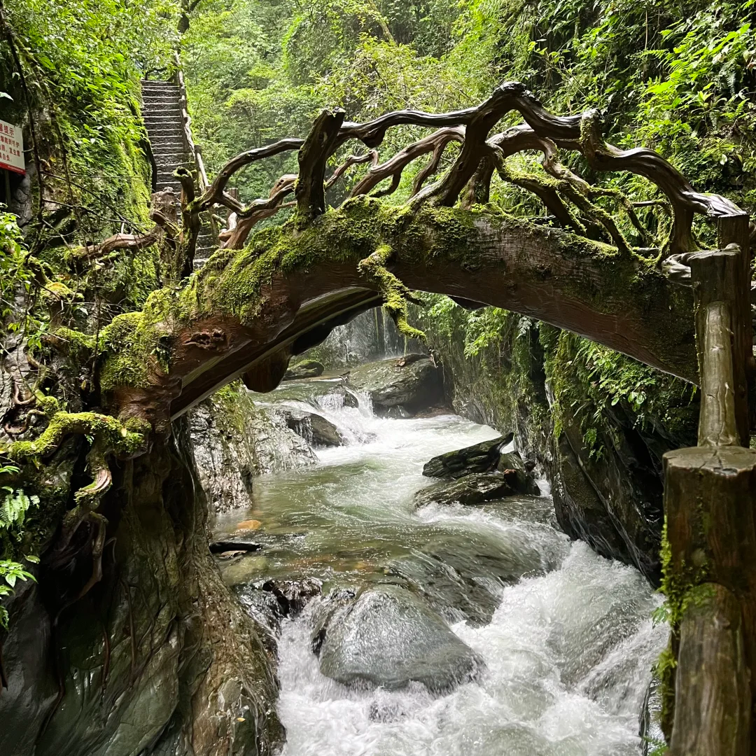 00000000ULqyPCJVsBnsBYBO 00000000ULqyPCJVsBnsBYBO