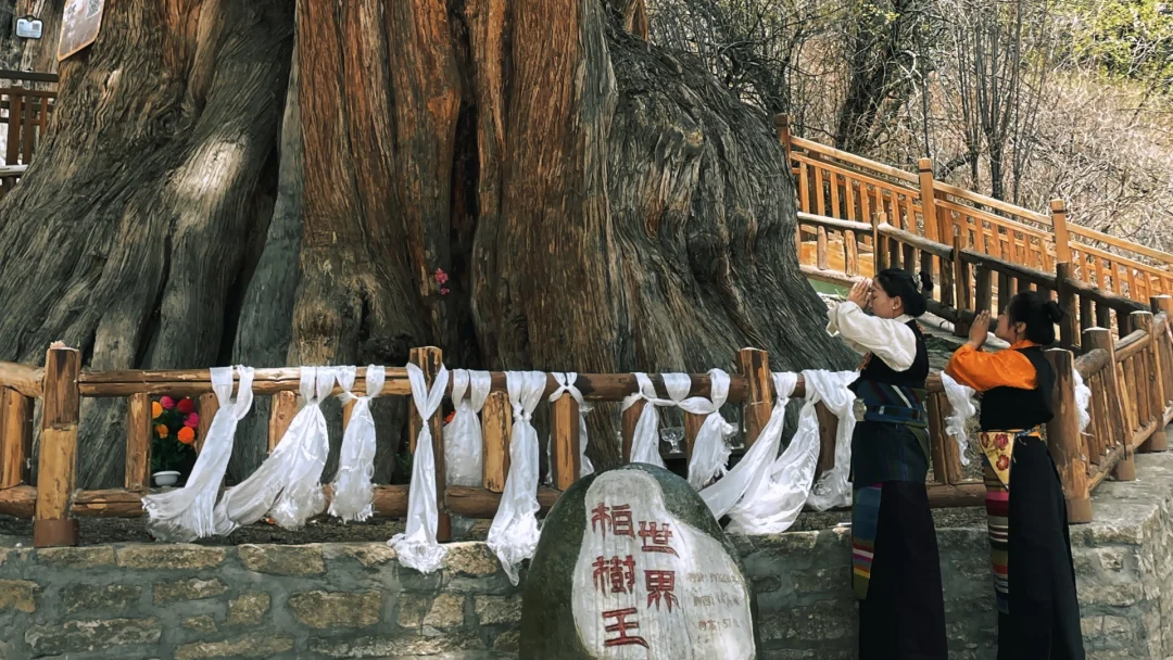 00000000UOWmQCdficXXeFNP 00000000UOWmQCdficXXeFNP