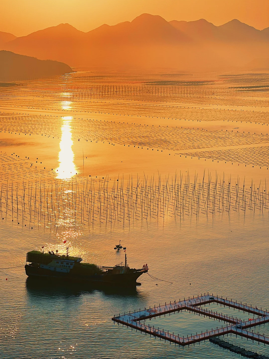 00000000UlUtzBTQYjHTnzYF