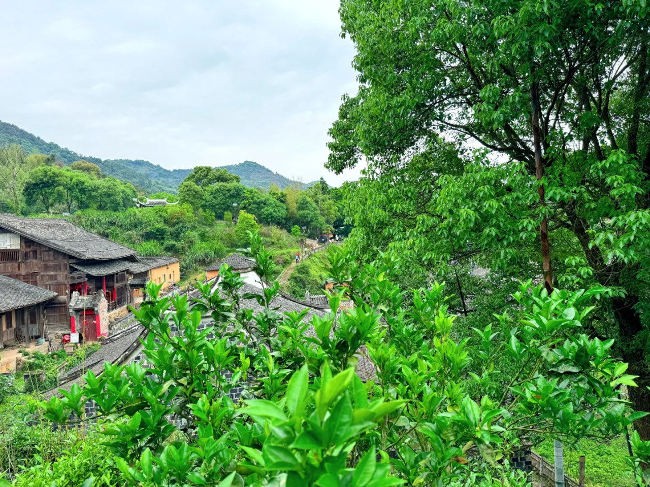 00000000VvxKSidHSLezAzDR