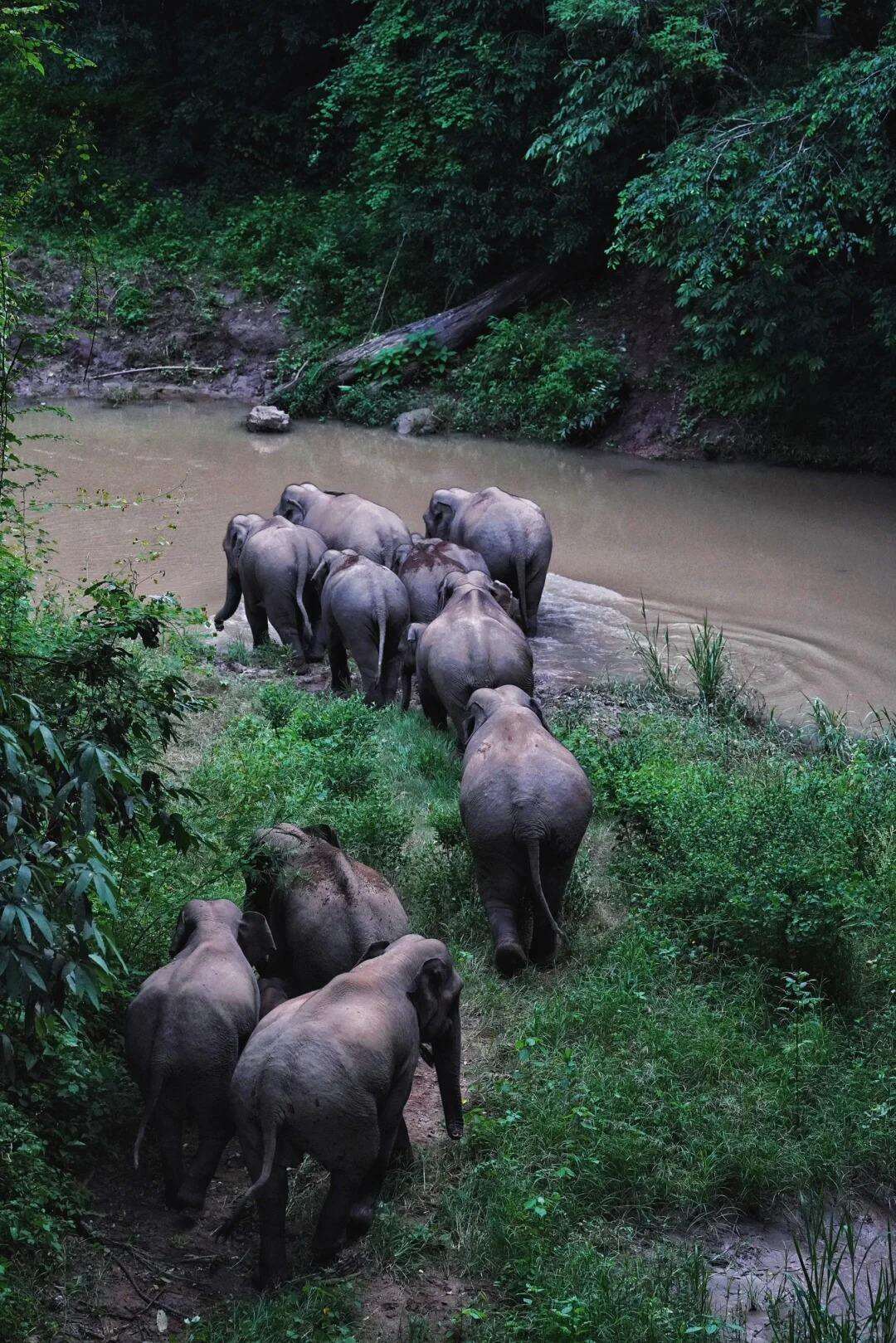 00000000WEkKsOvxbRGCQJyy