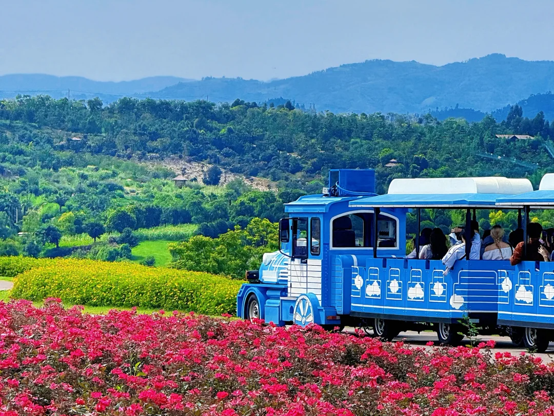 00000000WkDGXvHDwzxNfIUl 00000000WkDGXvHDwzxNfIUl