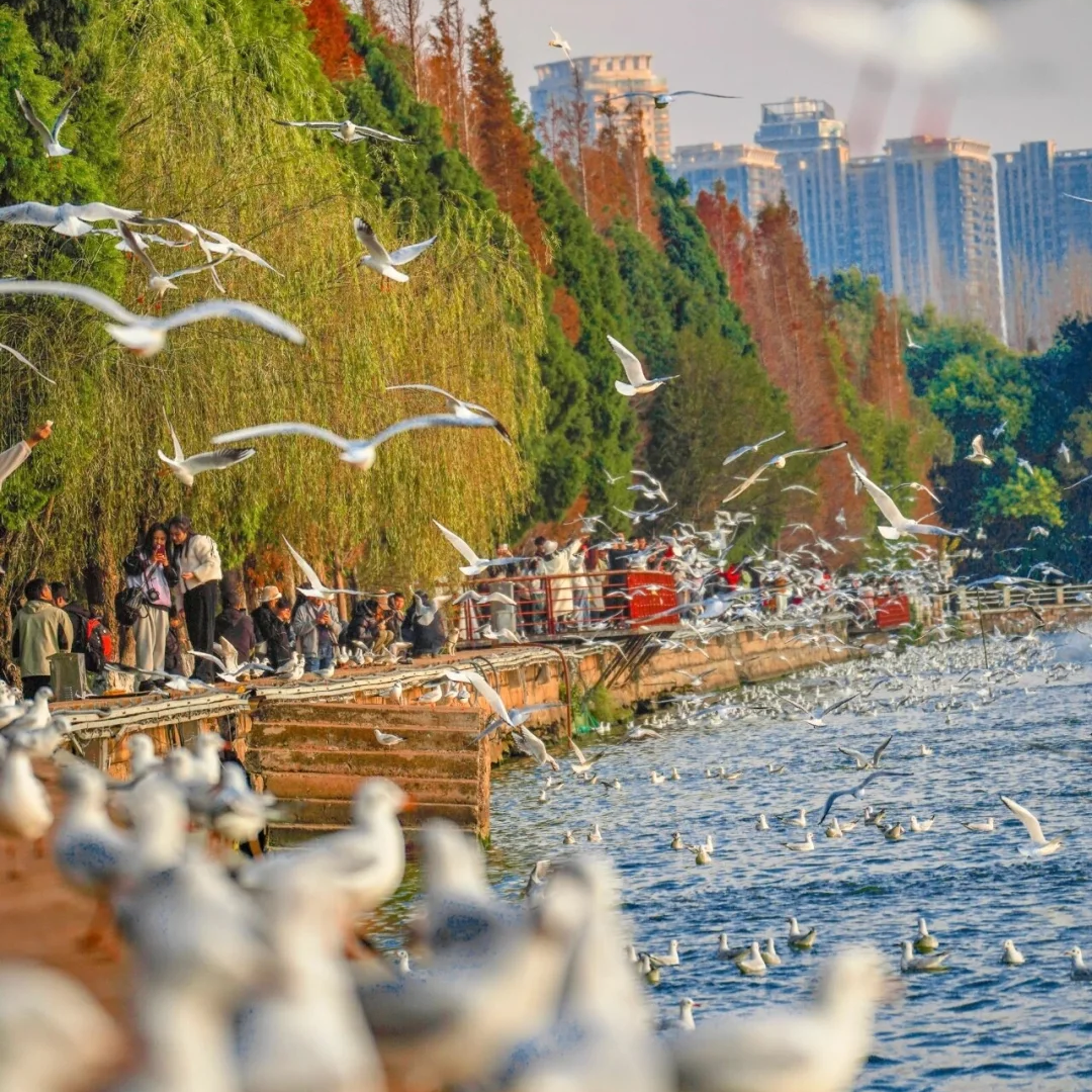 00000000XiNvKuNcvSpNADpw 00000000XiNvKuNcvSpNADpw