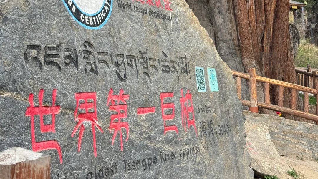 00000000YTPDZyFtthBckBcB 00000000YTPDZyFtthBckBcB