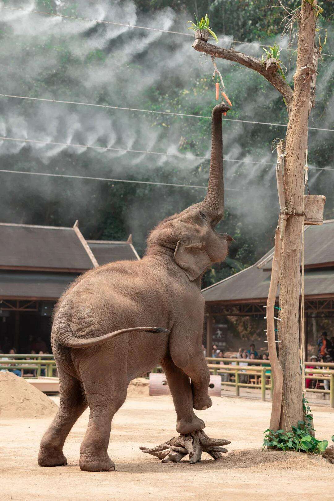 00000000YeAaChhSXPeIZRQn