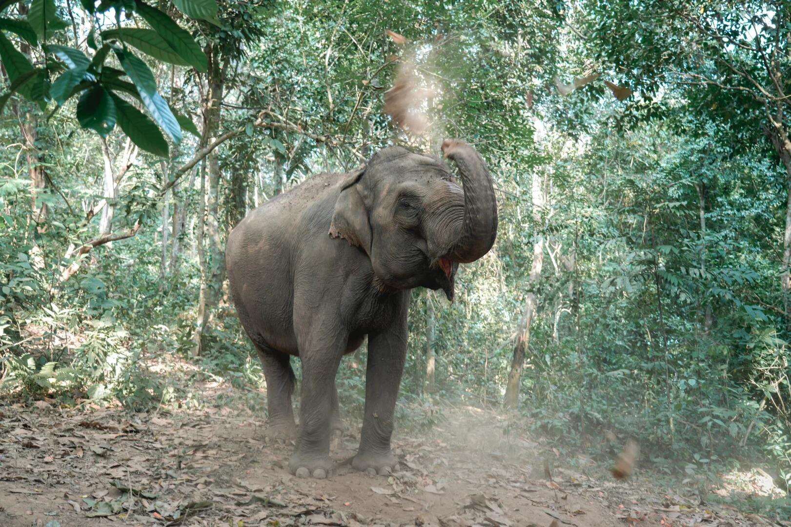 00000000aatqeSEeEWuwSKyO