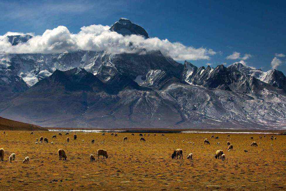 00000000dHOwMAQbHRPddVRJ 00000000dHOwMAQbHRPddVRJ