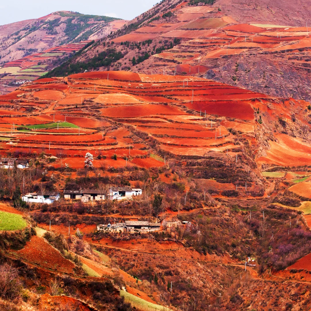 00000000eWmbjBTfkYudjLfY 00000000eWmbjBTfkYudjLfY