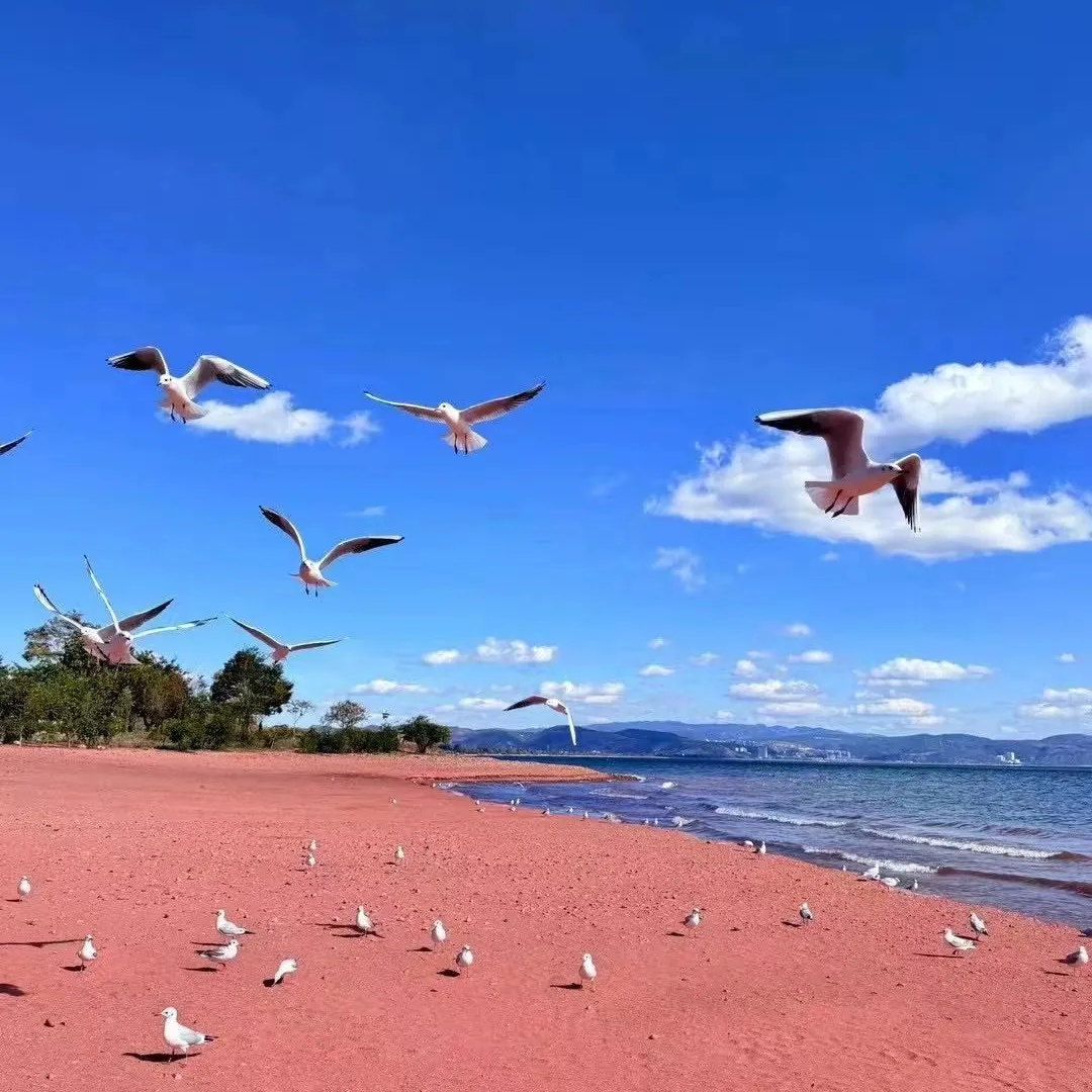 00000000efVPaWJzjqdXwHVp 00000000efVPaWJzjqdXwHVp