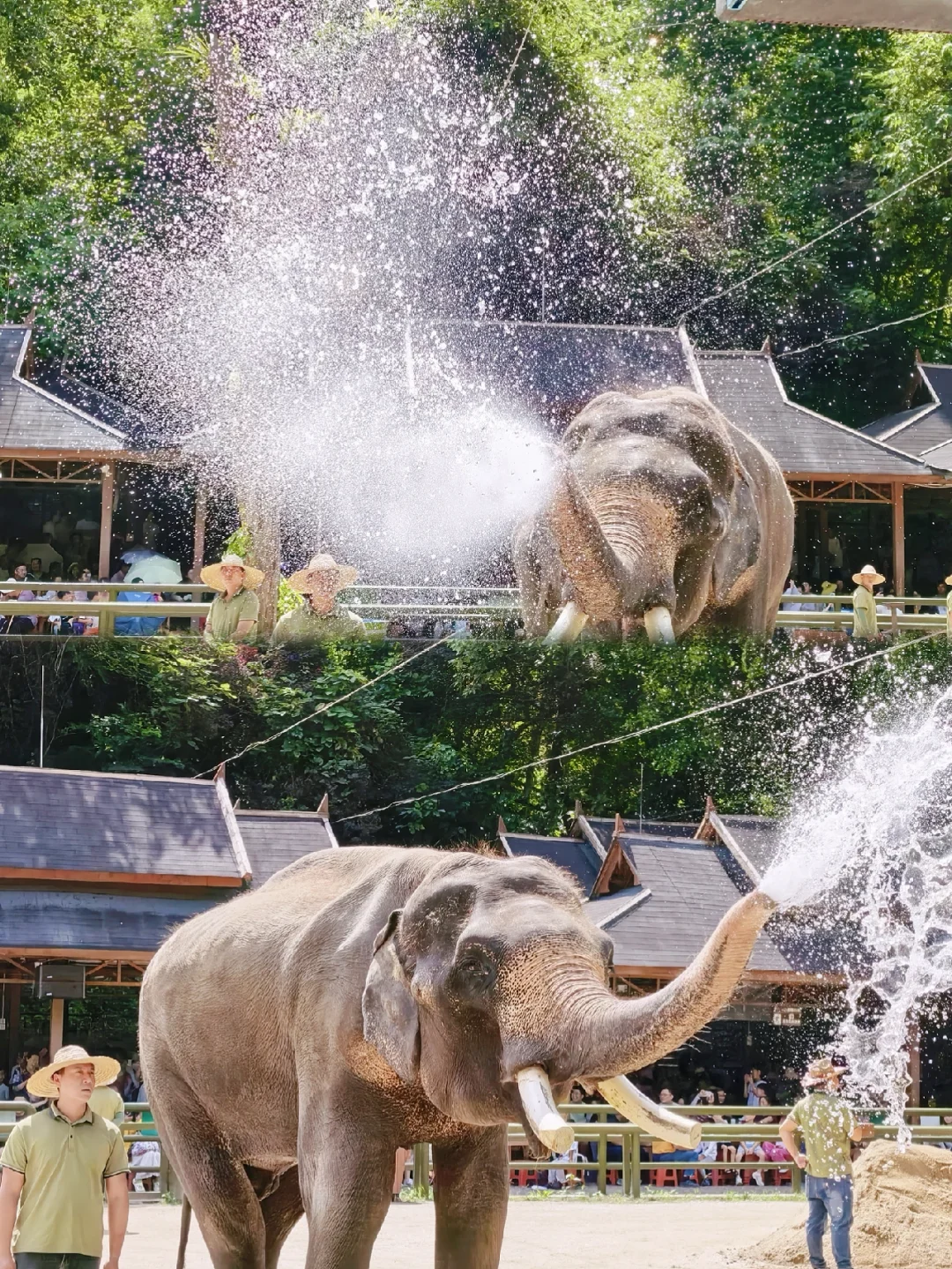 00000000fEGtpImDQZvCncTX