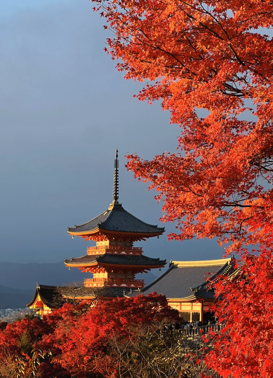 00000000fHQsUgVHOhllXAmZ