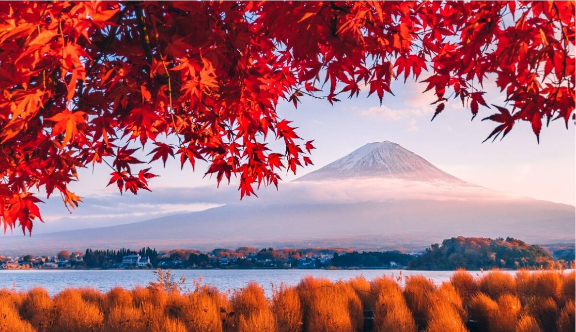 00000000fPGGyMZTreezFZNG