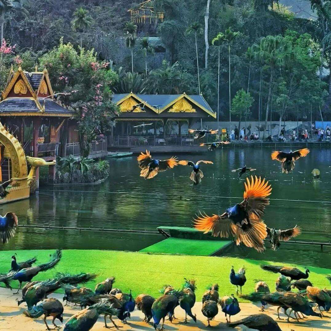 00000000fnxLpfqhuBHJtQgg