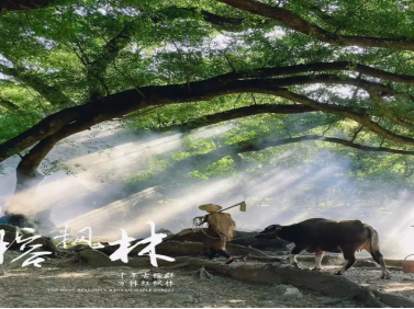 00000000gVXMhZqakiHxNaJj