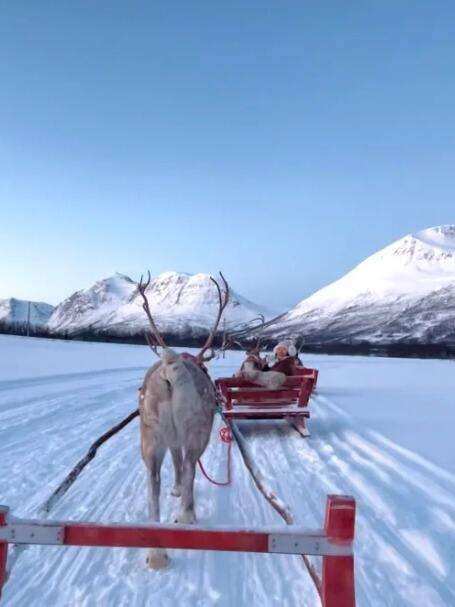 00000000gXDdtdhnNsCPRTqe 00000000gXDdtdhnNsCPRTqe