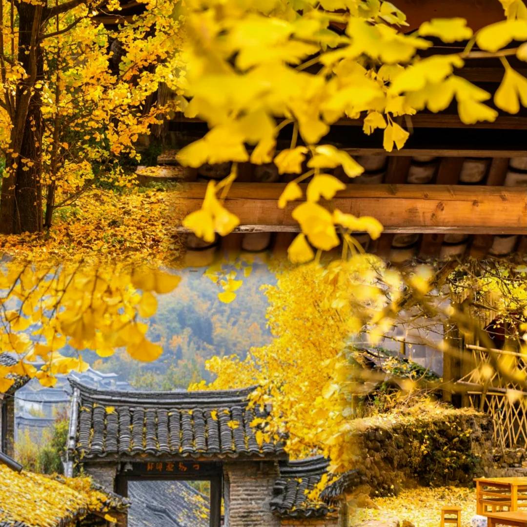 00000000gbrbOMIKvfUwucgn 00000000gbrbOMIKvfUwucgn