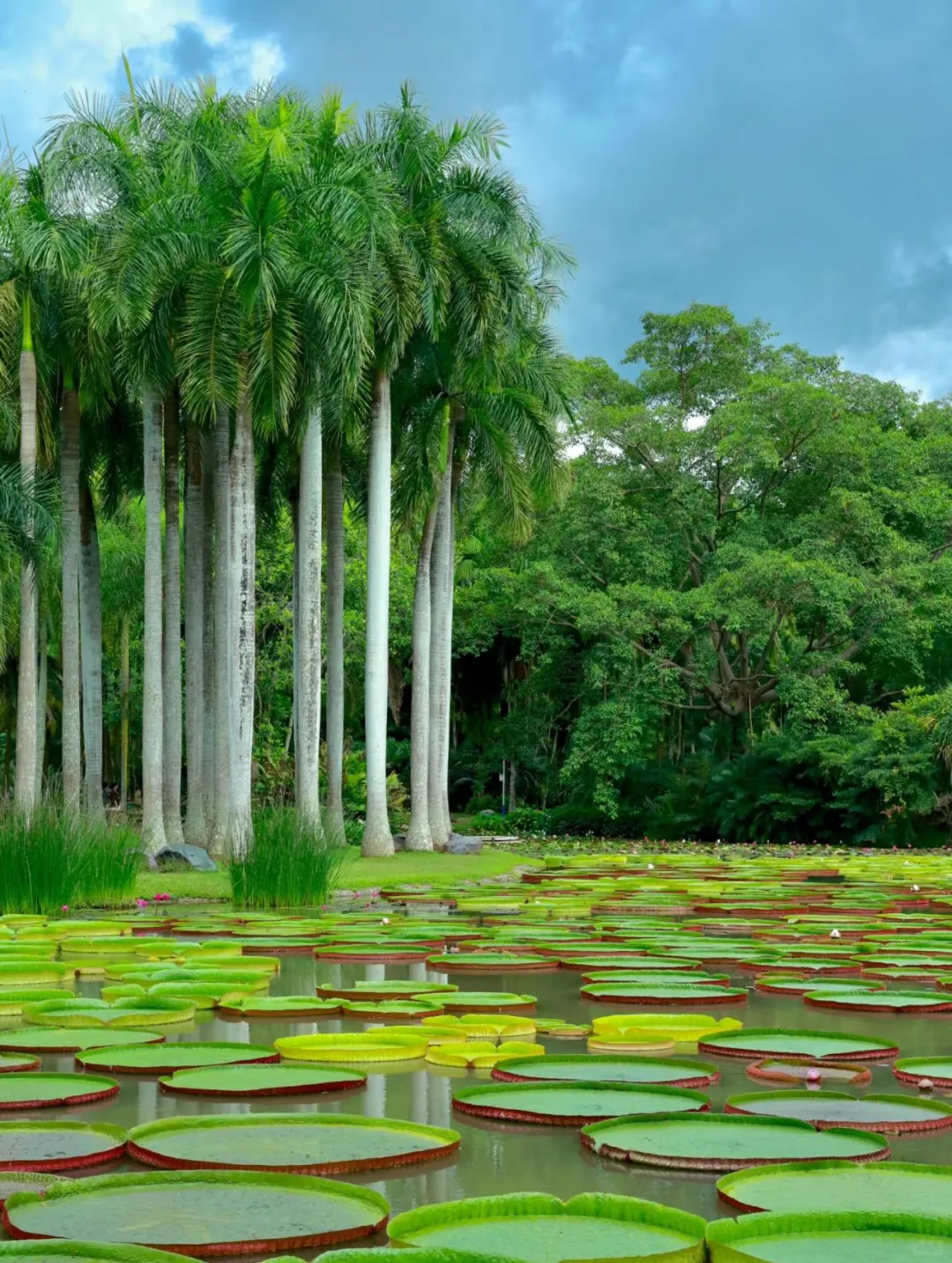 00000000goLLheoATbUytxrP 00000000goLLheoATbUytxrP