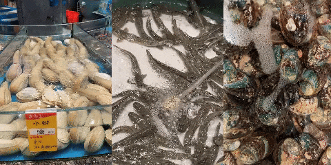 00000000hGpoiUtCjDRthYrQ