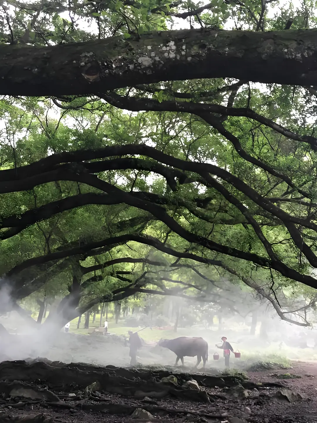 00000000idKxoHXNBsWpStdv