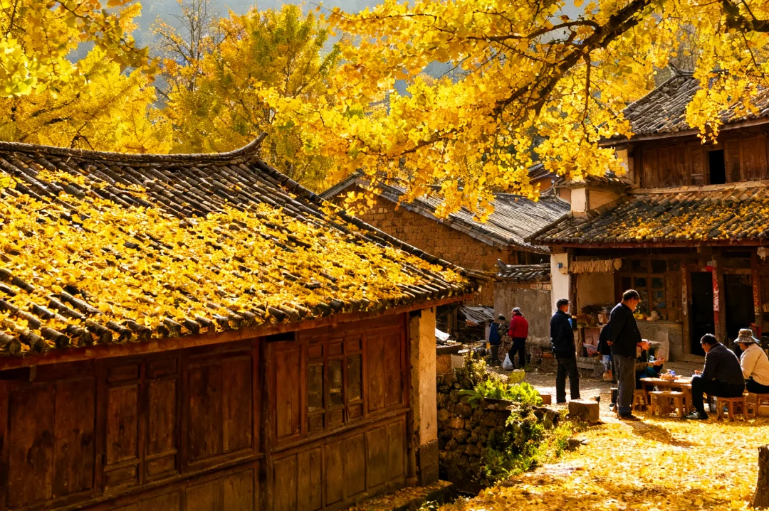 00000000jOWFUxcRIpeqNoRq 00000000jOWFUxcRIpeqNoRq