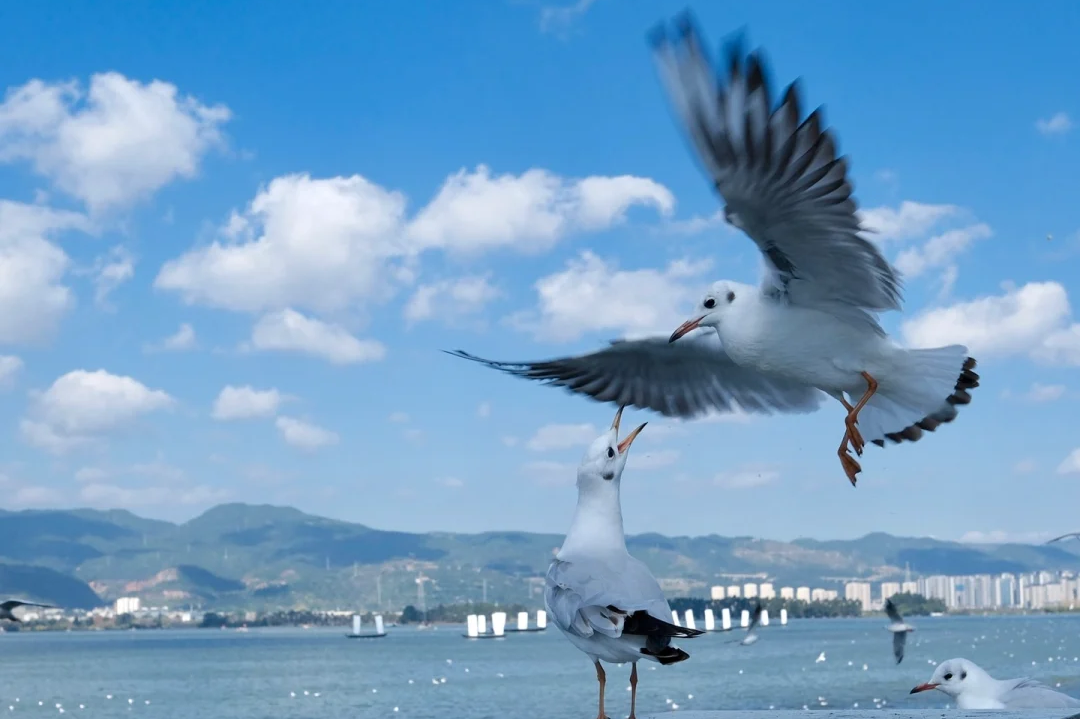 00000000kByzpwdifqpIymwB 00000000kByzpwdifqpIymwB