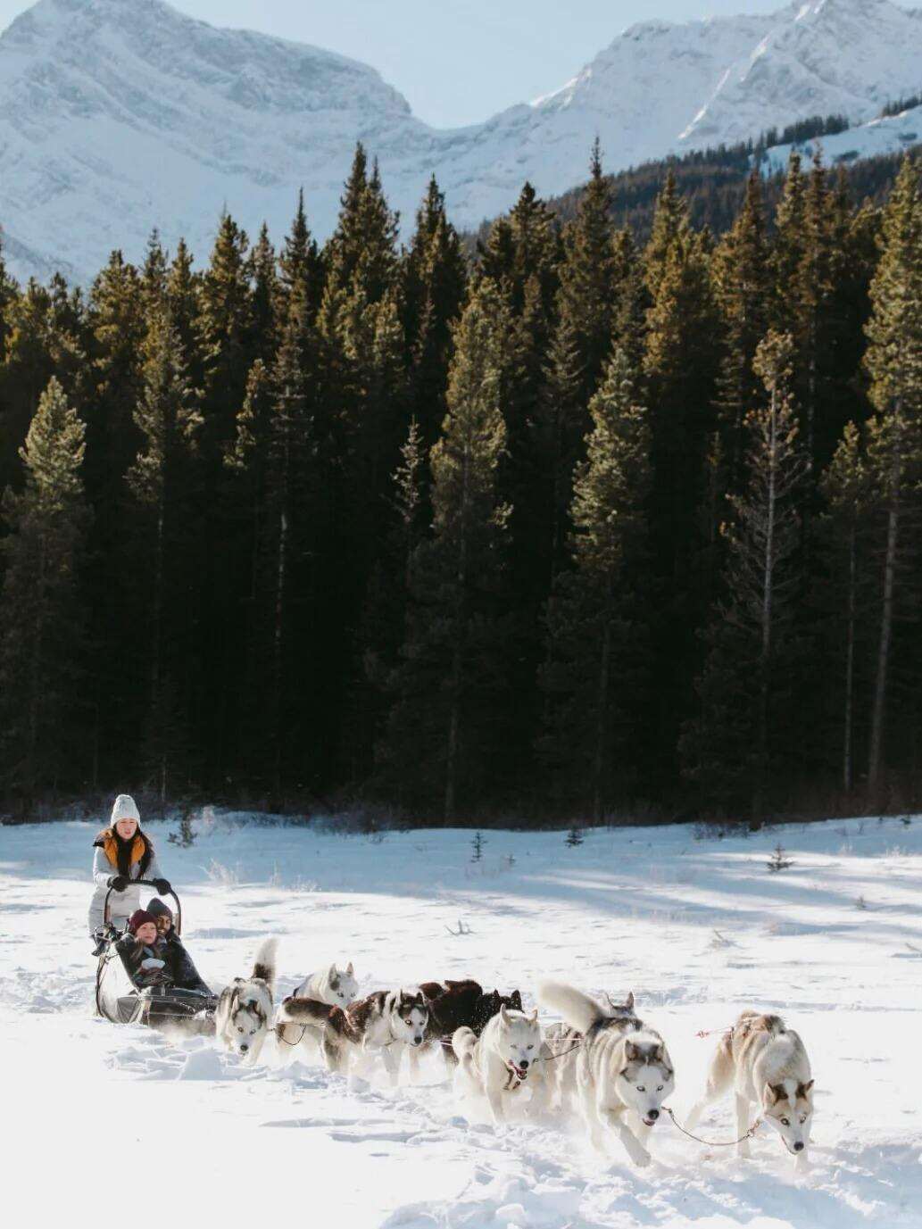 00000000kcPJpgpJzQIsfdNa 00000000kcPJpgpJzQIsfdNa