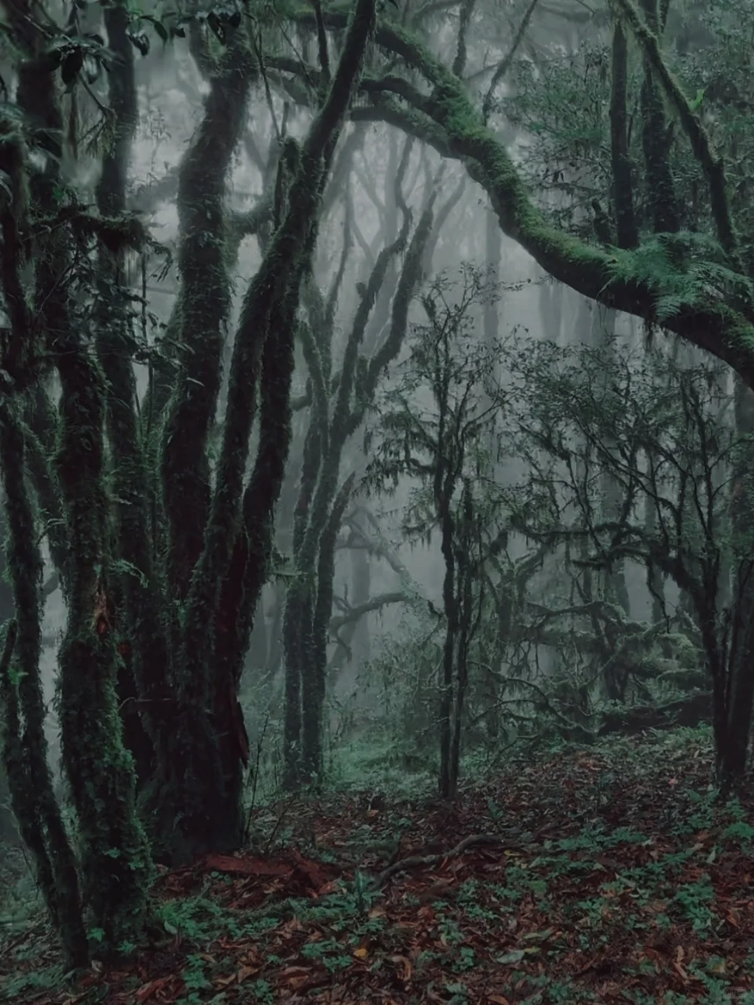 00000000klElRINbXQjCDAQb 00000000klElRINbXQjCDAQb