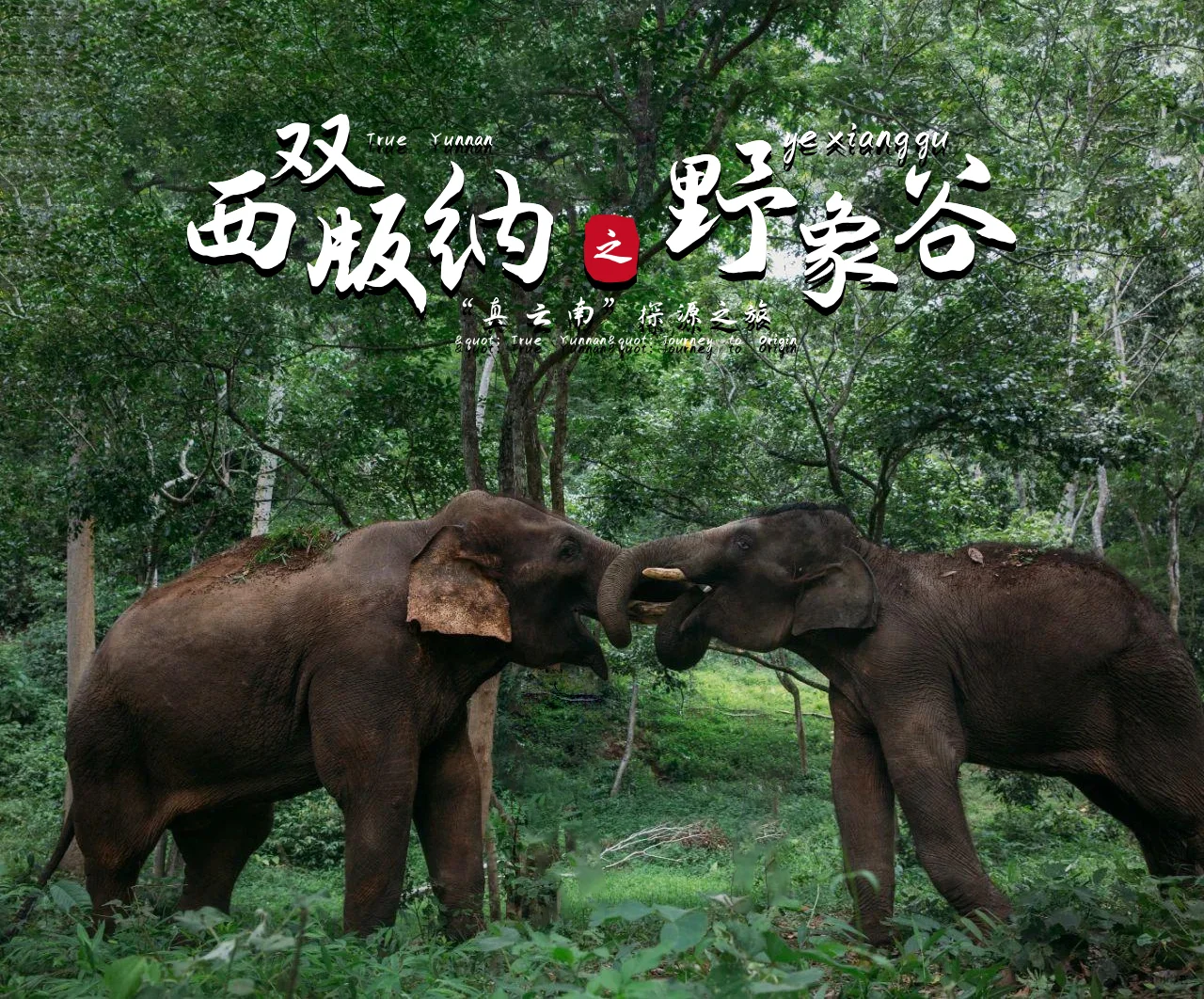 00000000lwkbCvBNBHVjbrMC 00000000lwkbCvBNBHVjbrMC