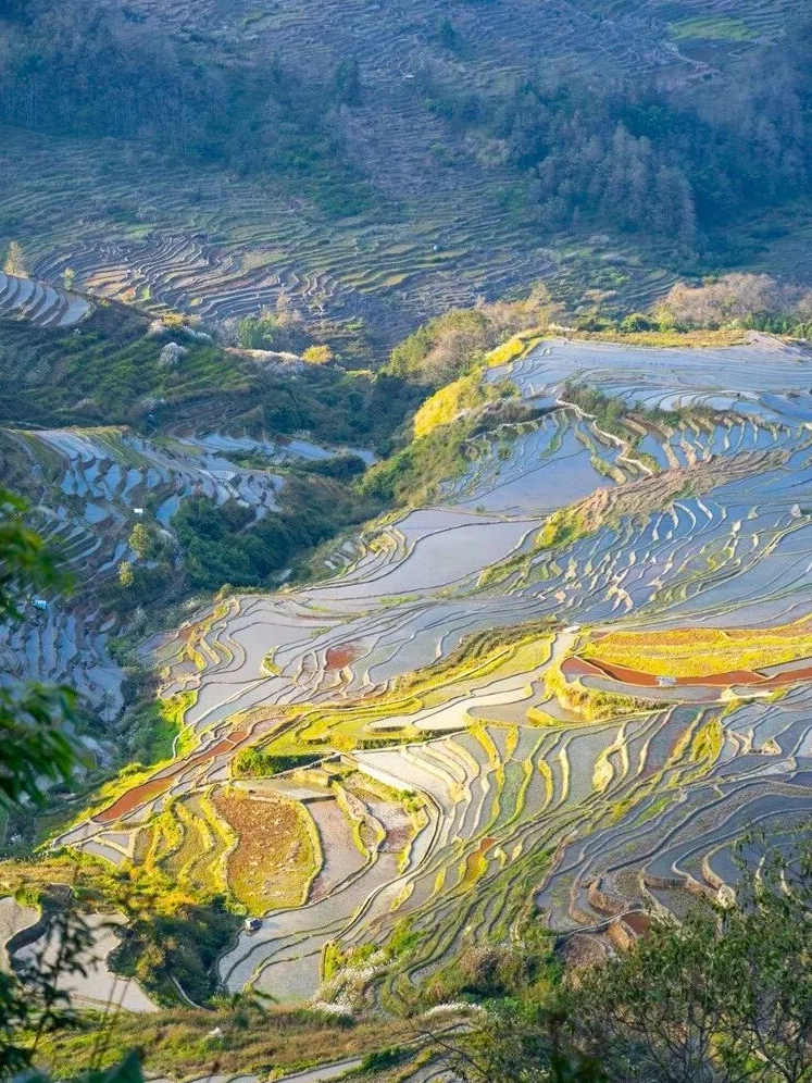 00000000miXfHlwGKOcyZDSF 00000000miXfHlwGKOcyZDSF