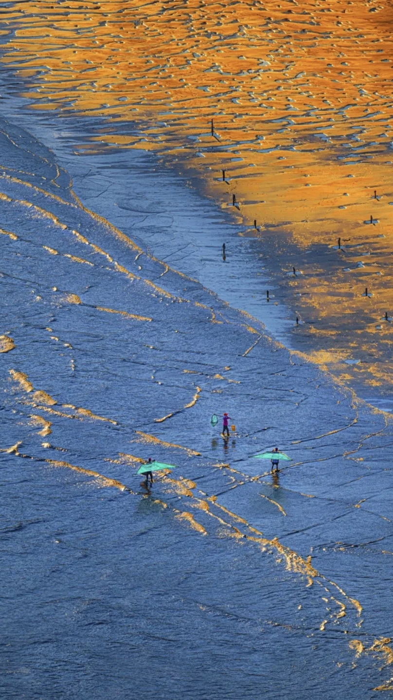 00000000nEImOJxVNrwxXGCw