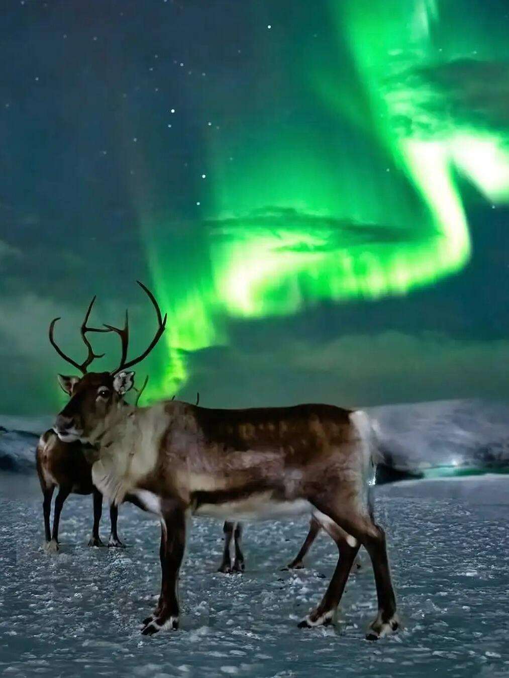 00000000nJDIoiGfcsxRNjSe 00000000nJDIoiGfcsxRNjSe